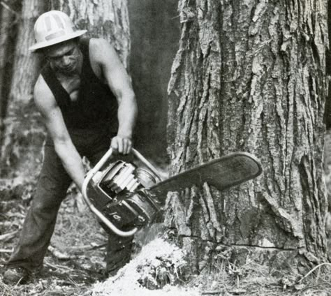 Photography - Historical The good old homelite chainsaws - 1960 New Zealand - Timber Industry  - Scarfing a radiata pine -  Kaingaroa Forest with a one-man Homelite chainsaw (1960)... Click the image to enlarge or to open the Photo Gallery… - MAD on New Zealand - "Memories Start Here”  - A New Zealand Web Site for New Zealand Content Cork Boots, Industry Photography, Logging Industry, Logging Equipment, Tree Felling, Shop Artwork, King And Country, Old Trees, Native Garden