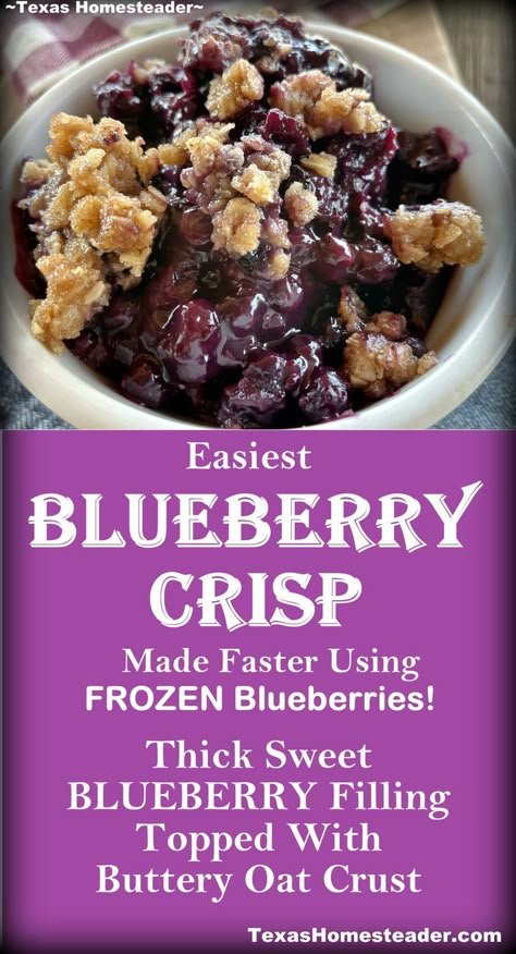 This blueberry crisp recipe features a thick sweet blueberry filling topped with a crispy buttery oat crust. It’s a simple recipe that uses a frozen-berry shortcut!   . . #TexasHomesteader #Blueberry #Dessert #EasyRecipe #BlueberryCrisp Blueberry Crisp Bars, Blueberry Crisp Recipe With Frozen Blueberries, Frozen Blueberry Crisp, Fast Blueberry Dessert, Wild Blueberry Crisp, Recipe For Blueberries, Freezing Fresh Blueberries, Frozen Blueberry Crumble, Blueberry Crockpot Recipes