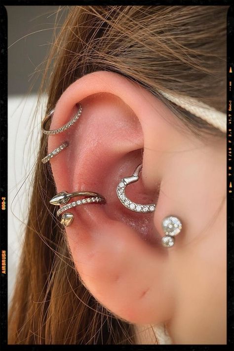 Conch Piercing - Tragus Piercing - Double Helix Piercing - Daith Piercing Cute Conch Piercing, Snake Piercing, Piercing Snake, Snake Fashion, App Filter, Airbrush App, Daith Piercing, Conch Piercing, Tragus Piercings