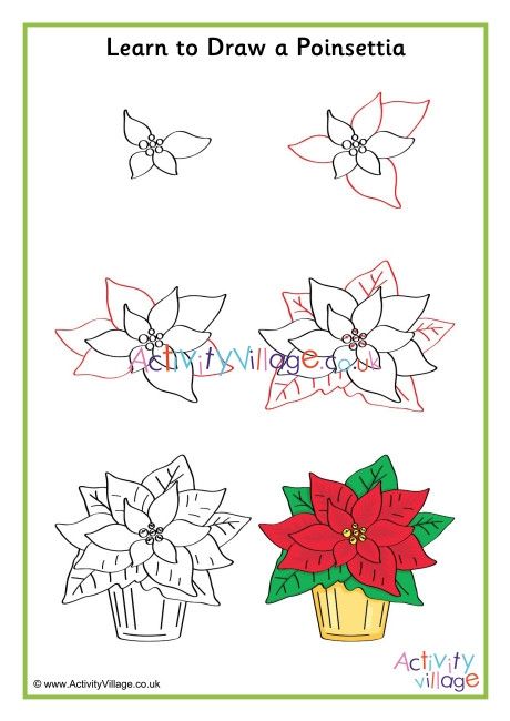 Learn to Draw Poinsettia Draw A Poinsettia, Learn To Draw Flowers, Step By Step Drawings, Easy Christmas Drawings, Draw Christmas, Markers Drawing Ideas, Winter Drawings, Flower Drawing Tutorials, Christmas Drawings