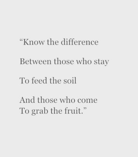 Know the difference between those who stay to feed the soil and those who come to grab the fruit. Show Off Quotes, Fruit Quotes, Support Quotes, Worthy Quotes, Tiny Quotes, Inspirational And Motivational Quotes, Hard Quotes, Up Quotes, The Soil