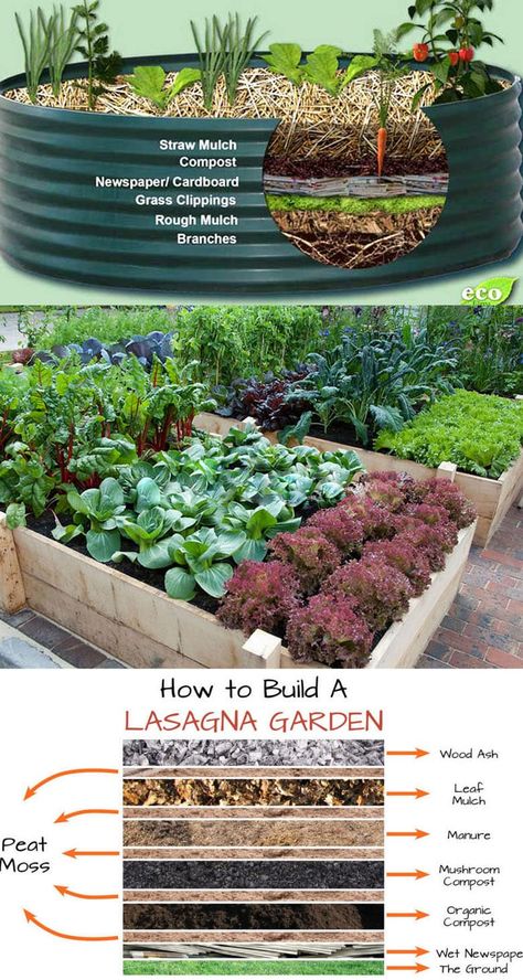 Raised Garden Beds Diy Vegetables, Build A Garden, Raised Vegetable Gardens, Vegetable Garden Raised Beds, نباتات منزلية, Diy Raised Garden, Raised Garden Beds Diy, Vegetable Gardens, Veg Garden