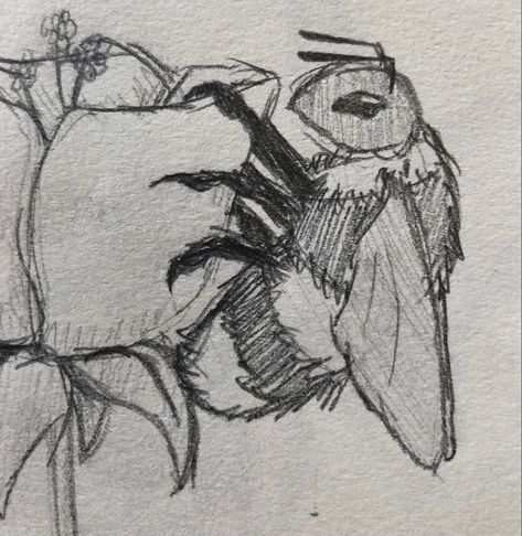 #sketch #reference #drawing #bee #bug #aethstetic #color #honey Fluffy Bee Drawing, Aethstetic Art Drawing, Bug Aethstetic, Drawing Aethstetic, Bug Drawing Insects, Bugs Drawing Sketches, Bees Sketch, Honeybee Drawing, Honey Bee Sketch