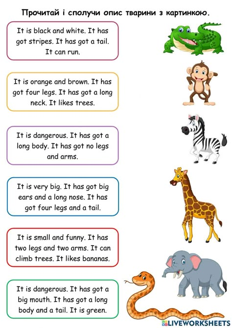 Esl Animals Activities, Animal Worksheets First Grade, Animals Teaching Ideas, Animals For Preschool Activities, Describing Animals Worksheets, Worksheet Animals For Kids, Animals Worksheet For Grade 1, Animals For Kids Teaching, Worksheets About Animals