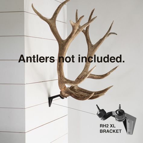 Blemished RACK HUB® RH2 XL Match Set Antler Mount / Moose Antlers / Elk Antlers / Stag Antlers / Caribou Antlers / Antler Taxidermy / Decor - Etsy Australia Elk Decor Ideas, Moose Paddle Decor, Elk Antlers Decor, Antlers Over Fireplace, Mounted Antlers Decor, Elk Skull Mount, Moose Antler Mount, Deer Antler Display Ideas, Elk Antler Decor Ideas