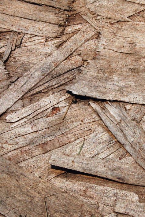 Wood bark