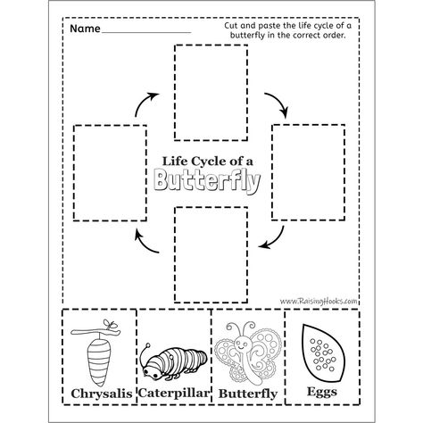 Butterfly Life Cycle Kindergarten, Butterfly Life Cycle Worksheet, Butterfly Life Cycle Preschool, Biking Quotes Cycling, Life Cycle Worksheet, Life Cycles Kindergarten, Life Cycles Preschool, Butterfly Life Cycle Activity, Human Life Cycle