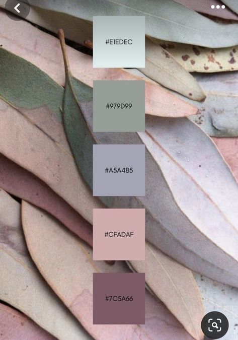 Light Pink And Green Colour Palette, Colour Palette Dusty Pink, Pink Gray Green Color Palette, Blush Sage Color Palette, Soft Green Colour Palette, Mauve Olive Color Palettes, Mauve Grey Color Palette, Pink Gold Green Color Palettes, Green Blush Color Palette