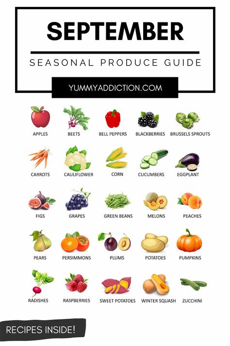 Squash Zucchini Recipes, Seasonal Produce Guide, Seasonal Fruits And Vegetables, Persimmon Recipes, Seasonal Eating, Seasonal Cooking, Fig Recipes, Seasonal Fruits, Seasonal Living