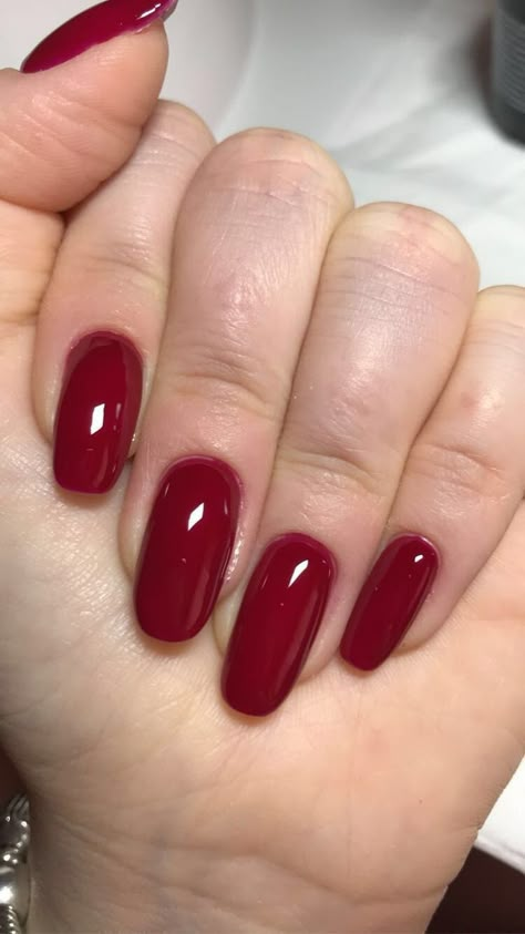 Red Natural Nails, Red Nails Natural, Ring And Nails, Red Fingernails, Bio Sculpture Gel Nails, Uñas Cute, Wow Nails, Glow Nails, Really Cute Nails