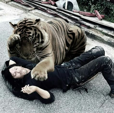 Walking Dead Wallpaper, Darryl Dixon, Twd Memes, Twd Funny, Tiger Love, Twd Cast, Carl Grimes, Fear The Walking, Stuff And Thangs