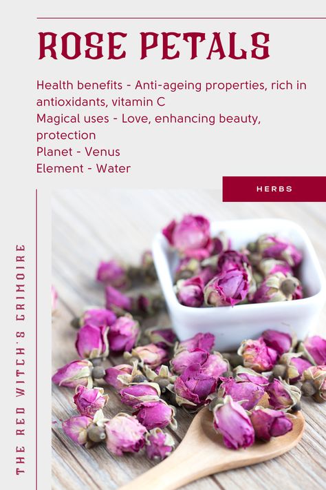 Rose Petals Tea Benefits, Dried Rose Petals Witchcraft, Rose Petal Benefits, Rose Tea Benefits, Rose Petal Tea, Dried Flowers For Wedding, Edible Rose Petals, Flower Of Love, Herbal Tea Benefits