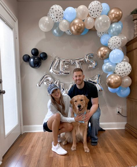 6 Months Dog Birthday, Golden Retriever 1st Birthday, Dog Birthday Decoration Ideas, Photoshoot Ideas For Dogs Birthday, Dog Bday Ideas, Dog Birthday Ideas Decorations, Dogs First Birthday Photo Shoot, Golden Retriever Birthday Party Theme, Golden Retriever Party