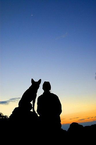 Man And Dog Aesthetic, Man With Dog Photography, Man And Dog Silhouette, Dog With Man, My Dog And Me, Dog And Me, Man And His Dog, Red Heeler, Cattle Dogs