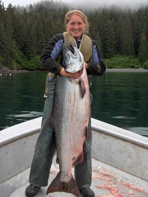 Alaskan king salmon Fishing In Canada, Fisher Woman, King Salmon, Fishing Photos, Camping Family, Alaska Fishing, Fishing Photography, Fishing Pictures, Walleye Fishing