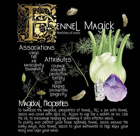 Smudge Sticks Diy, Herbal Grimoire, Magickal Correspondences, A History Of Magic, Magickal Herbs, Witch Herbs, Plant Magic, Magic Herbs, Magical Herbs