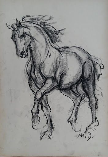 Horse Art Drawing, Horse Sketch, Animal Drawings Sketches, Horse Artwork, Horse Drawings, Horse Drawing, Equine Art, Pencil Art Drawings, Animal Sketches