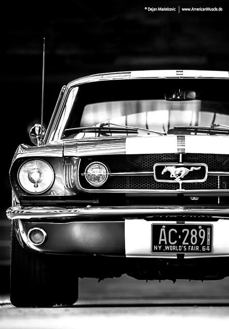 Old Mustang, 60s Muscle Cars, Мотоциклы Harley Davidson, Mustang Wallpaper, Mustang Car, Cars Usa, Classic Mustang, Mustang Fastback, Ford Classic Cars