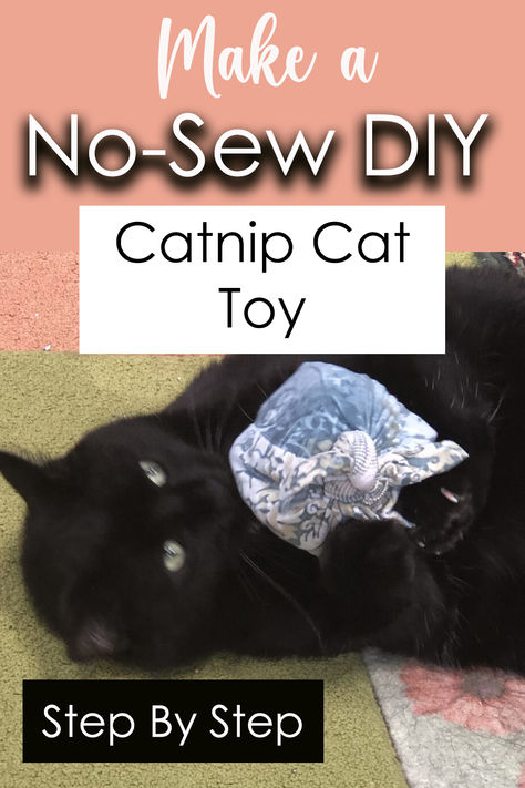 Step by Step no-sew diy catnip cat toy with a cat playing with the toy in the photo Diy Catnip Toys, Diy Jellyfish, Handmade Cat Toys, Best Cat Litter, Homemade Cat Toys, Diy Cat Toys, Catnip Cat Toy, Homemade Cat, Ideal Toys