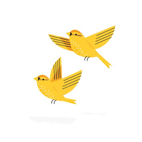 Yellow Bird Illustration ~ Mary Wald's Place -  sarah abbott. illustration, bird, simple, graphic, drawing, yellow Sarah Abbott, Yellow Birds, 동화 삽화, Illustration Kunst, Bird Illustrations, Bird Graphic, Yellow Bird, Abstract Illustration, Simple Illustration