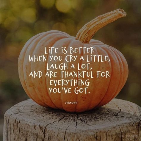 November Quotes, Thankful Quotes, Thanksgiving Wishes, Weekday Quotes, Autumn Pumpkins, Thankful Thursday, Thankful Heart, Happy Thanksgiving Quotes, Autumn Magic