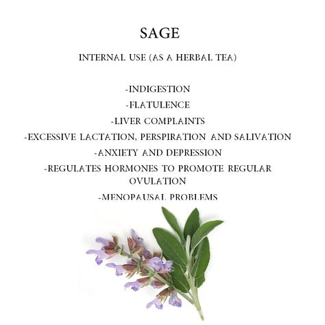 Salvia, the latin name for sage, means “to heal”. The use of sage as a fertility drug dates back to ancient Egypt. The herb can be consumed orally by eating the dried leaves. Do not use during pregnancy. . . 

Do follow and stay tuned for more such wonderful herbal tea benefit pins to create your own tea corner at home.

#sage #benefits #health #herbalmedicine #ancient #essentialoil #sageoil #stressrelieving #goodsleep Benefits Of Sage Tea, Salvia Benefits, Sage Tea Benefits, Sage Health Benefits, Selfcare Recipes, Sage Benefits, Tea Corner, Herbal Tea Benefits, Tea Remedies