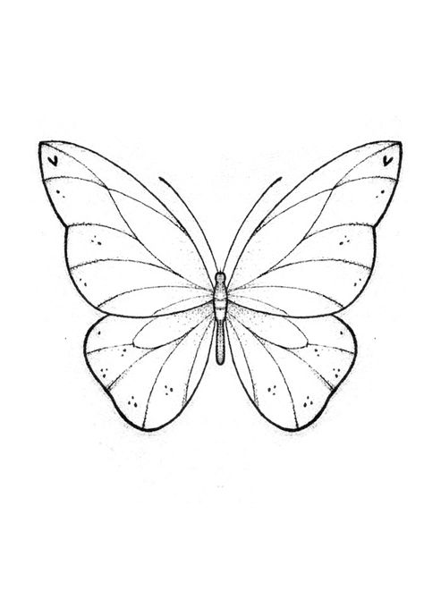 Butterfly Ideas Drawing, Butterfly Pattern Drawing, Butterfly Effect Drawing, Butterfly Drawings Easy, Butterfly Wing Drawing, Butterflies To Draw, How To Draw A Butterfly, Butterfly Easy Drawing, Drawing Of Butterflies