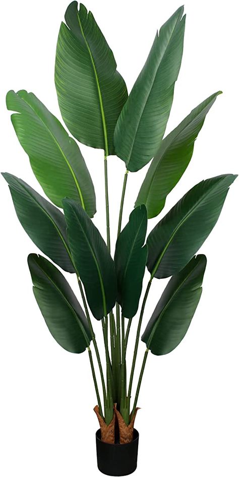 Long Leaf Plants, Banana Leaf Plant, Faux Palm Tree, Banana Leaf Tree, Big Leaf Plants, Big Indoor Plants, Birds Of Paradise Plant, Bird Of Paradise Plant, Paradise Plant