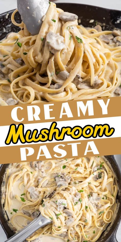 Linguine With Creamy Mushroom Sauce, Mushroom Linguine Creamy, Creamy Mushroom Zucchini Pasta, Easy Mushroom Sauce For Pasta, Mushroom Swiss Pasta, Alfredo Pasta With Mushrooms, Easy Recipes With Cream Of Mushroom Soup, Spaghetti With Cream Of Mushroom Soup, Noodles And Mushrooms Easy Recipes