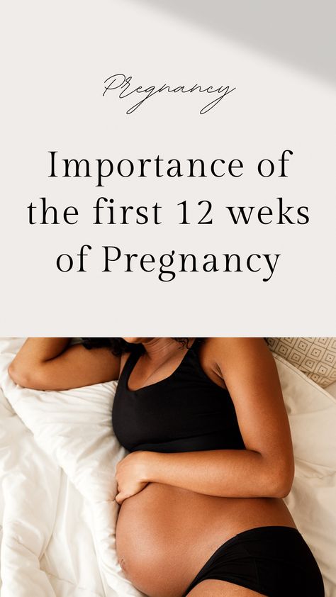 Pregnant 1st Trimester, How Many Weeks In Each Trimester, Trimesters Of Pregnancy By Weeks, Weeks Of Pregnancy Chart, 1st Trimester Workout Plan, Pregnancy 1st Trimester Tips, First Trimester Self Care, Workout Pregnant First Trimester, What To Expect In The First Trimester