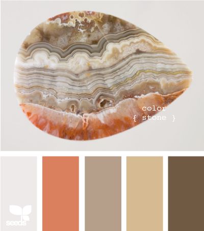 love the coral pops with the rich neutrals Cream Furniture, Color Me Happy, Palette Design, Color Palate, Design Seeds, Theme Color, Color My World, Paint Schemes, Living Room Paint