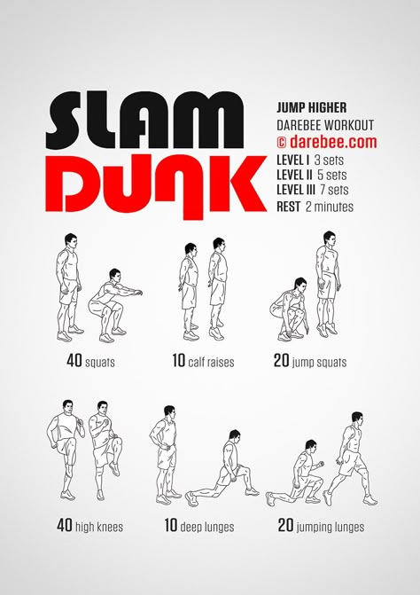 Slam Dunk Workout Dunk Workout, Vertical Workout, Vertical Jump Workout, Basketball Conditioning, Basketball Workouts Training, Jump Workout, Ball Workouts, Basketball Workout, Jump Higher