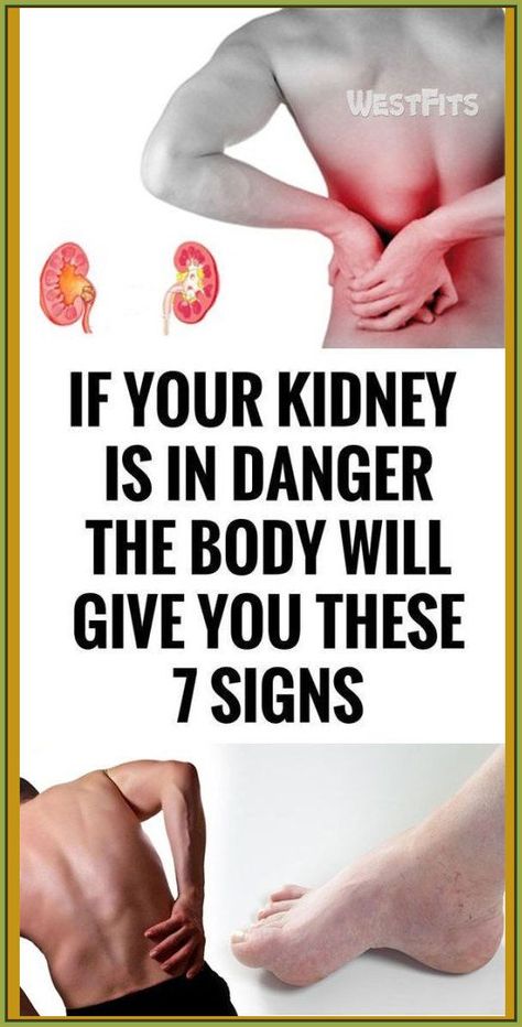 For your health, the kidneys are essential because they detoxify and cleanse the body by filtering 10-150 quarts of blood in a day. Their location is under the rib cage. Their function is to eliminhttps://www.smore.com/app/reporting/button/pust9?u=https%3A%2F%2Ftumblr.com%2FZg4PhRcG0Cbhiy00%3Fr%3DuuSXmUeaRj&t=KEEP%20READING&w=w-7688035534&i=&l=?r=040016154?r=953781884 What Happened To You, What’s Going On, Health Problems, Womens Health, The Words, The Body, Home Remedies, Yoga Poses, Health Benefits