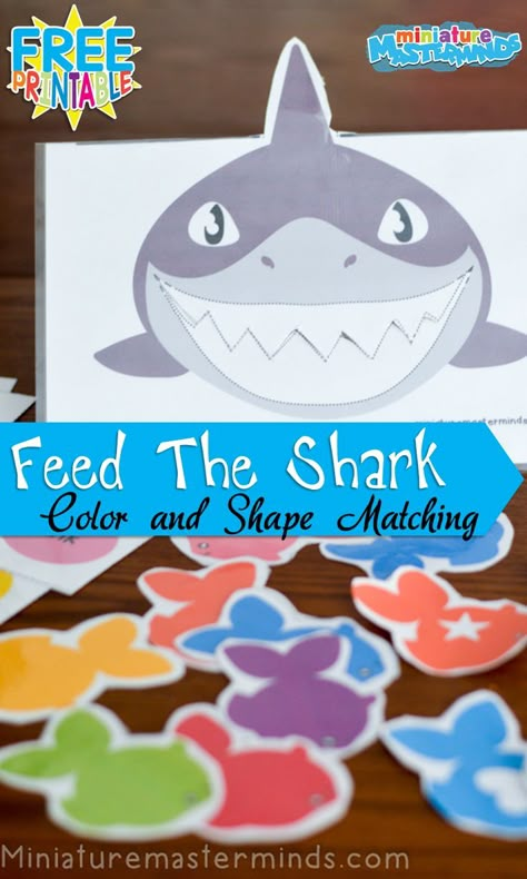 Feed The Shark Colors And Shapes Matching Activity For Preschoolers and Toddlers Ocean Math Activities For Toddlers, Feed The Shark Game, Matching Activity For Preschoolers, Feed The Shark, Shapes Matching, Preschool Ocean, Ocean Theme Preschool, Preschool Workbooks, Activity For Preschoolers