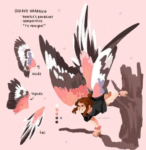 Winged People, Bird People, Hybrid Art, Ochako Uraraka, Parakeets, Creature Drawings, My Hero Academia Memes, Boku No Hero Academia Funny, My Hero Academia Episodes