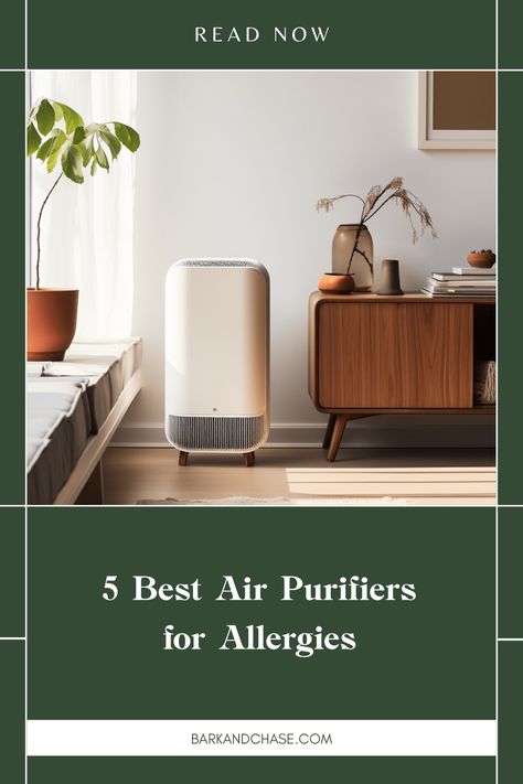 Say goodbye to those pesky allergy symptoms with the perfect air purifier! In this post, we feature 5 top-rated options that help remove allergens, dust, pet dander, and more from your living spaces. Enjoy fresh, clean air with models designed for various needs and room sizes. Whether you're battling seasonal allergies or everyday irritants, there's an air purifier for everyone. Find out which one fits your home best and take the first step towards a clearer, more refreshing breathing experience at home. Aesthetic Air Purifier, Best Air Purifiers Home, Best Air Purifier, Home Air Purifier, Interior Design Games, Seasonal Allergies, Allergy Symptoms, Visual Aesthetics, Air Purifiers