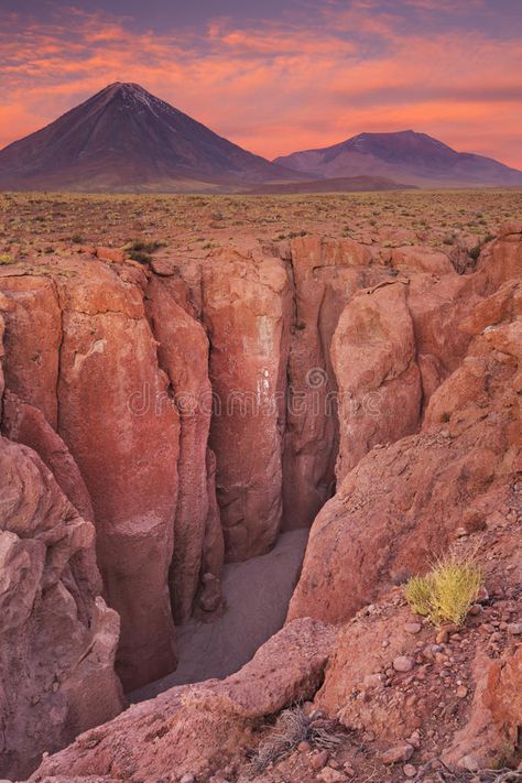 Chile Desert, Rocky Desert, Cold Desert, Atacama Desert Chile, Desert Canyon, Cold Deserts, Scenery Beach, Natural Wonders Of The World, Phuket Island