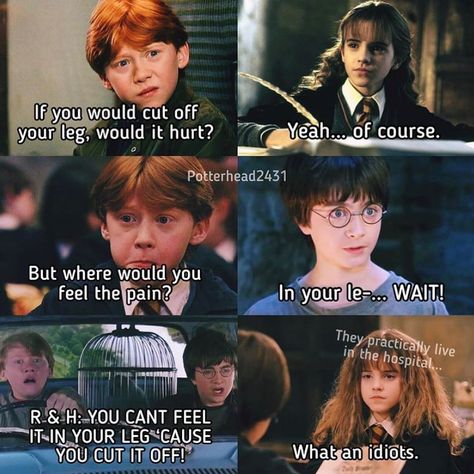 Hp Funny, Harry Potter Funny Pictures, Harry Potter Quotes Funny, Harry Potter Castle, Harry Potter Pins, Memes Harry Potter, Funny Harry Potter Jokes, Harry Potter Memes Hilarious, Harry Potter Puns