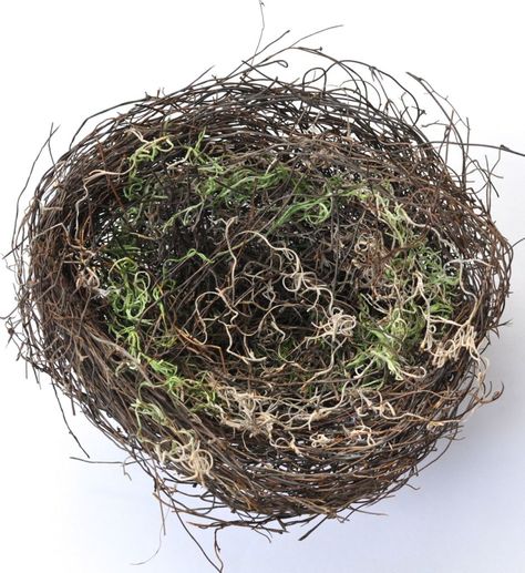 DIY Bird Nest - Make Life Lovely Bird Nest Crafts, Bird Nest Diy, Haunted Forest Halloween, Diy Bird Nest, Bird Nest Decor, Diy Nest, Nest Craft, Bird Nest Craft, Easter Spring Crafts