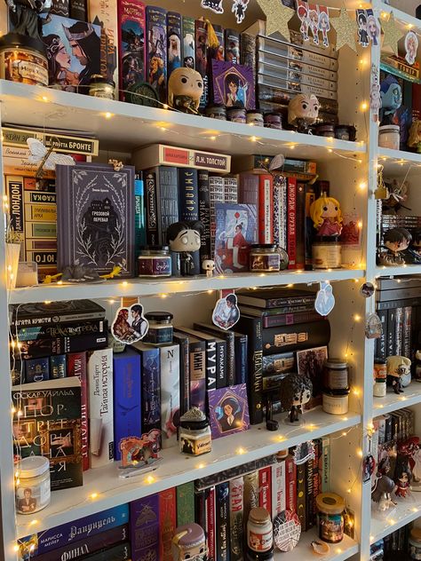 Nerdy Bookshelf Decor, Goblincore Library, Fantasy Book Shelf Ideas, Sjm Bookshelf, Book Nerd Bedroom, Book Themed Room Decor, Bookshelf With Lights, Cool Bookshelf Ideas, Decorated Bookshelf