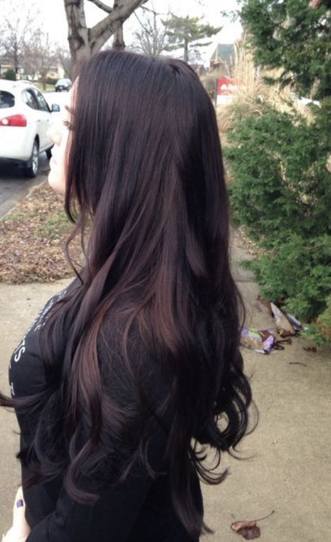 Black Cherry Hair Color, Black Cherry Hair, Cherry Hair Colors, Cherry Hair, Long Dark Hair, Burgundy Hair, Trendy Hair, Hair Color Dark, Hair Black