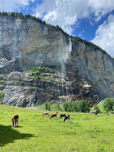 Switzerland Farm Aesthetic, Switzerland Cows, Switzerland Apartment, Zermatt Summer, Hike Switzerland, Gimmelwald Switzerland, Switzerland Summer, Switzerland Hiking, Waterfall Hike