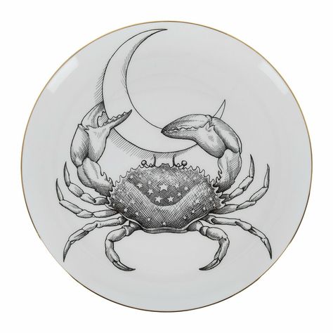 Rory Dobner, Crab Illustration, Crab Tattoo, Best Zodiac Sign, Luxury Home Accessories, Zodiac Sign Tattoos, Elephant Tattoo, Designer Wall, Line Art Tattoos