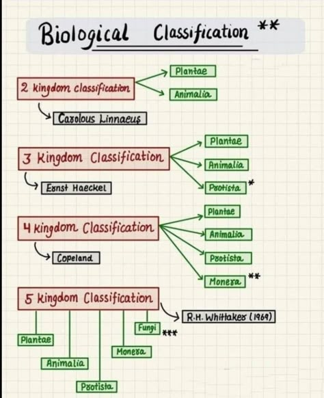 Basic Biology Knowledge, Biological Classification Notes, 12th Biology Notes, Neet Study, Biology Topics, Biological Classification, Biology Class 11, Neet 2024, Biochemistry Notes