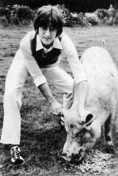 Imagine postcard - John Lennon with a pig John Lemon, John Lennon And Yoko, Julian Lennon, Imagine John Lennon, John Lennon Beatles, Beatles Photos, Beatles John, Rock N’roll, The Fab Four