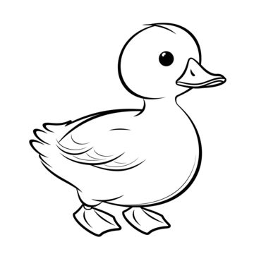 cute duck drawing,cute duck outline,cute duck sketch,cute duck coloring page,cute duck outline art,cute duck coloring book,cute duck black and white,cute duck line art,outline,sketch,line drawing,line art,coloring page,outline art,children s coloring page,thick lines,coloring book,black and white,bird,beak,cartoon,gesture,happy,art,feather,waterfowl,ducks,geese and swans,tail Duck Black And White Drawing, Black And White Animals Drawing, A Duck Drawing, Sketch Of Bird, Duck Outline Drawing, Animals Drawing Outline, Outline Of Animals, Duck Line Drawing, Duck Pictures Drawing