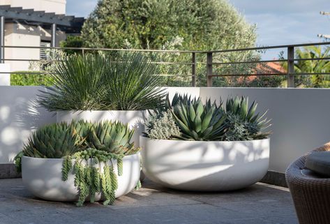 Organic, low bowls in a range of sizes to suit many uses. Large Outdoor Planters, Potted Plants Outdoor, Patio Planters, Patio Plants, Outdoor Pots, Outdoor Gardens Design, Garden Landscape Design, Large Planters, Modern Landscaping