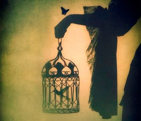 A Bird Born in a Cage Will Think Flying Is an Illness متحف فني, Foto Art, Bird Cages, Gothic Art, Pics Art, A Butterfly, Rumi, Bird Cage, Writing Inspiration