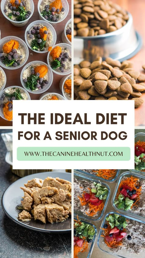 Senior Dog Food, Everything Is Different, Senior Dog Food Recipes, What Is Normal, Make Dog Food, Colorful Hairstyles, Diy Dog Food, Dog Biscuits Homemade, Raw Dog Food Recipes