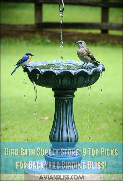 bird bath supply store Hanging Bird Bath, Bird Bath Bowl, Bird Paradise, Bath Supplies, Bird Bath Fountain, Different Birds, Bird Baths, How To Attract Birds, Water Sources